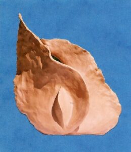 Complétude
